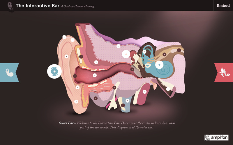 The Interactive Ear